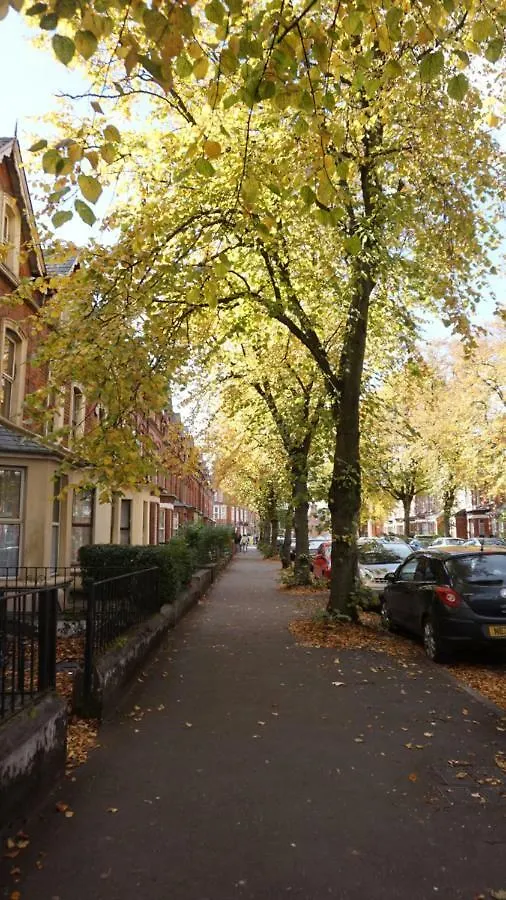 Big Yellow Door In Queens Quarter Μπέλφαστ Πανσιόν